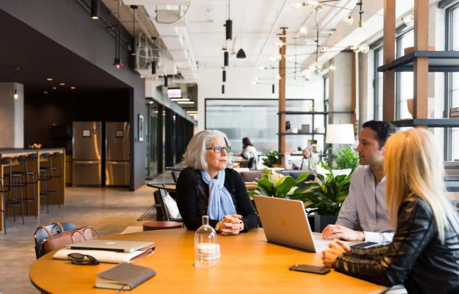 Professional mentorship environment showcasing collaborative learning space